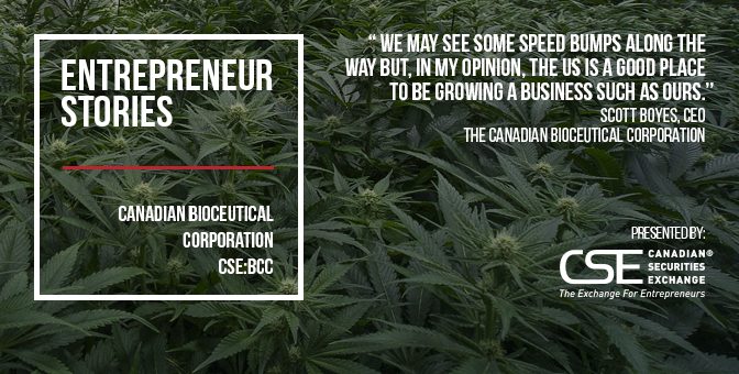 The Canadian Bioceutical Corporation profits from shift to US cannabis market