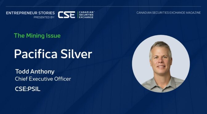 Pacifica Silver- Blog Header